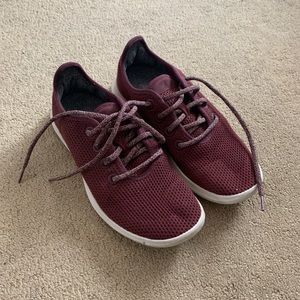 Allbird sneakers